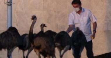 رئيس البرازيل من الحجر الصحى: أتناول "كلوروكين" وأشعر بالملل