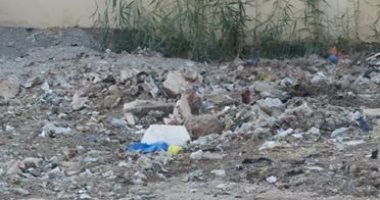 قارئ يشكو تجميع القمامة خلف منزله من قبل عمال النظافة