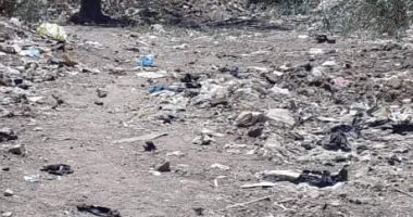 اضبط مخالفة.. انتشار القمامة بقرى مركز زفتى فى الغربية.. صور