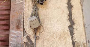 قارئ بالإسكندرية يشكو تهالك توصيلات التليفون الأرضى وعدم تثبيت لوحة توزيع الخطوط