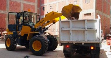 تكثيف حملات النظافة وصيانة أعمدة الإنارة بكفر الشيخ.. صور