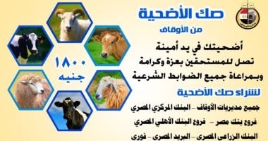 أوقاف الأقصر تخصص أرقاما لطلب "صكوك الأضحية" وخدمة التوصيل للمنازل