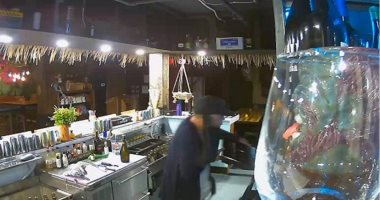 اضحك فى زمن الكورونا.. لص سكران سرق مطعم ونسى المسروقات