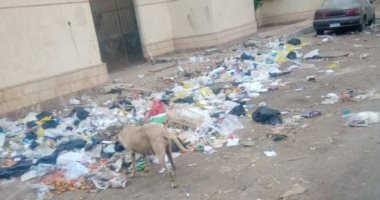 شكوى بسبب انتشار القمامة فى الإسكان الاجتماعى بمدينة السلام 2
