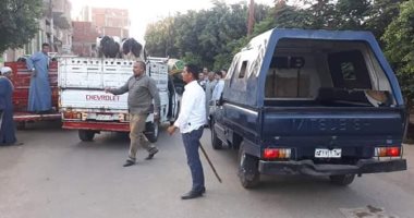 فض سوق المواشى بتلا فى المنوفية منعا للتزاحم بسبب فيروس كورونا المستجد