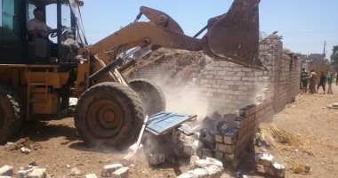 إزالة تعديات على أراضى زراعية بمحافظة البحيرة.. صور