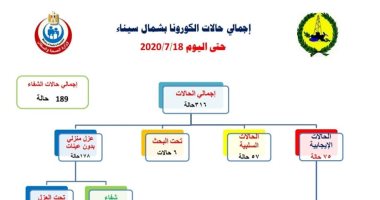 تسجيل شفاء 39 حالة إصابة بفيروس كورونا في شمال سيناء