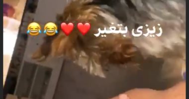 موقف طريف.. غيرة كلبة أحمد فهمي من زوجته هنا الزاهد بعد مسكه ليديها
