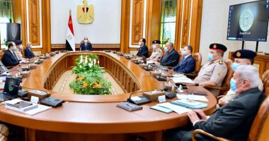مجلس الدفاع الوطنى: تثبيت الموقف الميداني الراهن في ليبيا وعدم تجاوز الخطوط المعلنة