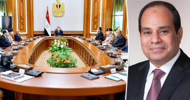 تحركات مصرية متعددة الجبهات.. الأزمة الليبية وسد النهضة على طاولة مجلس الدفاع الوطنى.. شكرى في الأردن ورام الله لبحث التطورات الفلسطينية.. ورئيس وزراء اليمن بالقاهرة