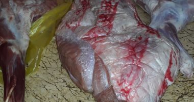 ضبط معملى تحاليل يستخدمان كيماويات ومستلزمات طبية منتهية الصلاحية بالبحيرة