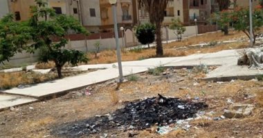  شكوى من تراكم وحرق القمامة فى الحى الـ 11 بالشيخ زايد
