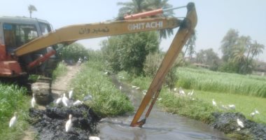 رى الفيوم يشن حملة لتطهير بحر وداير دفنو إستجابة لشكاوى المزارعين (صور)