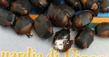 الشرطة الإيطالية تصادر شحنة كوكايين داخل حبوب القمح.. فيديو