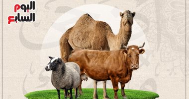 "الخروف أونلاين ودليفرى".. الخليج يضع اشتراطات العيد والأضحية