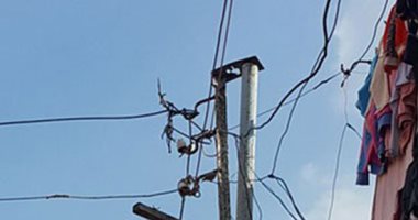 شركة كهرباء المنوفية: تم عمل مقايسة وتركيب عمود كهرباء جديد فى شبين الكوم