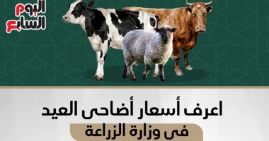 إنفو جراف.. اعرف أسعار أضاحى العيد فى وزارة الزراعة.. الخراف بـ58 جنيها للكيلو
