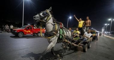 سباقات خيول الكارو تعود لشوارع القاهرة بعد انتهاء الحظر.. شاهد رالى الغلابة