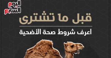 إنفوجراف.. قبل ما تشترى.. اعرف شروط صحة الأضحية