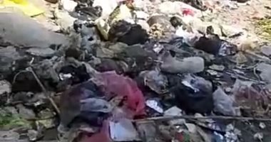 اضبط مخالفة.. انتشار القمامة ومياه الصرف بقرية فرسيس فى الغربية.. صور 