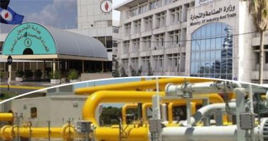لجنة الصناعة بالبرلمان تطالب بخفض أسعار الغاز والكهرباء لوقف خسائر المصانع وحماية المنتج المصرى.. وتؤكد تلقيها وعودا بالاستجابة لمطالب القطاع دون جدوى.. وارتفاع الأسعار يؤثر سلبا على مصانع القطاعين العام والخاص