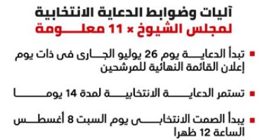 إنفو جراف.. آليات وضوابط الدعاية الانتخابية لمجلس الشيوخ × 11 معلومة