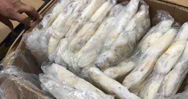 ضبط طن أسماك فاسدة ومجهولة المصدر بعزبة البرج فى دمياط