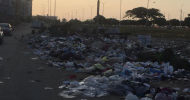 شكوى من تحول الشريط الأخضر بمحافظة الإسماعيلية إلى مقلب للقمامة