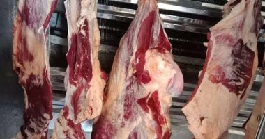ضبط طن دواجن وتشميع مجزر غير مرخص وتحرير محاضر للمخالفين بكفر الشيخ.. صور