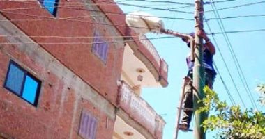 حملات مكثفة للنظافة والتجميل وصيانة أعمدة الإنارة بكفر الشيخ.. صور