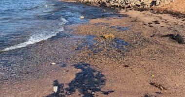 تلوث بترولى بأحد شواطئ رأس غارب شمال البحر الأحمر (صور)