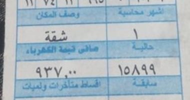 قارئة تشكو ارتفاع قيمة فاتورة الكهرباء واختلاف بين قراءة العداد والفاتورة