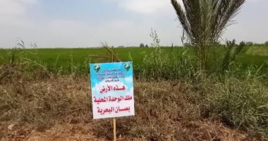 إزالة 13 حالة تعد على الأراضى الزراعية بالشرقية.. صور