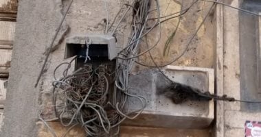 قارئ يشكو تهالك التوصيلات وبوكس التليفون الأرضى بالإسكندرية