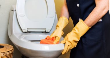 هل يمكن الإصابة بالتهاب المسالك البولية من مقعد المرحاض؟ 