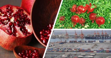  الاستعانة بالأقمار الصناعية لحصر وتكويد مزارع الرمان لزيادة الإنتاج .. الزراعة: الإنتاج المحلى 382 ألف طن من 79 ألف فدان.. بدء التصدير ومنظومة رقابية للفحص الحجرى الدقيق بـ6 مناطق للحفاظ على سمعة المنتج المصرى