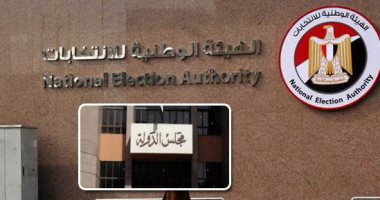 ننشر حيثيات محكمة القضاء الإدارى باستبعاد أحمد حسين صبور من انتخابات مجلس الشيوخ 2020.. المحكمة: المرشح قدم إقرارى الذمة المالية له ولزوجته وأولاده القصر فقط.. وتؤكد: تبين خلو الإقرارين من بيانات أملاكه