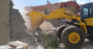 صور.. إزالة التعديات على أراضى الدولة ببرج العرب 