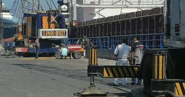 ميناء الإسكندرية يواصل تطهير وتعقيم السفن والأرصفة لمواجهة كورونا