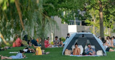 الالتزام بالتباعد اللاجتماعى .. عودة الحياة والاستمتاع بالطبيعة فى نيويورك