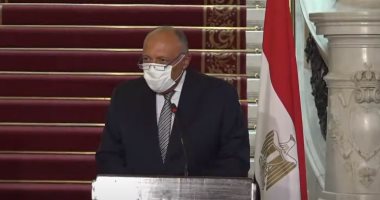 الخارجية تؤكد استمرار جهودها لتحرير المختطفين في سواحل نيجيريا.. وتؤكد: جميعهم بخير