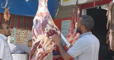 الطب البيطرى بأسوان: ضبط 152 كيلو لحوم مذبوحة خارج المجازر بكوم أمبو