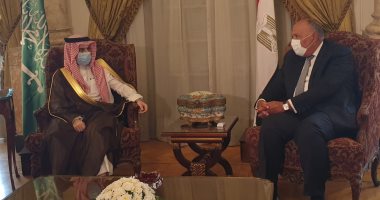 شاهد.. شكري ونظيره السعودى يناقشان ملفات الإقليم بجلسة مباحثات خاصة