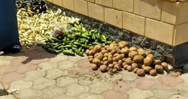 امسك مخالفة.. شكوى من انتشار الباعة الجائلين والقمامة بحى النرجس بمدينة بدر
