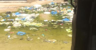 صورة.. طفح الصرف الصحى بمساكن توشكى فى العامرية بالإسكندرية