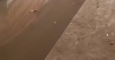 شكوى من سوء الصرف الصحى فى حارة العزازى بحدائق المعادى