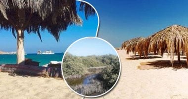 صور.. "الجفتون وأبو منقار" جزر لها تاريخ مع الغردقة وزائريها فى الأعياد.. الأولى أهم رحلة بحرية لسياح المدينة الساحرة.. والثانية كانت جزءا منها ثم انفصلت.. وقرار تخفيض رسوم دخول محميات بشرة خير