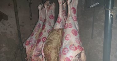 ضبط 630 كجم لحوم بلدية مذبوحة خارج المجازر الحكومية بقنا ..صور