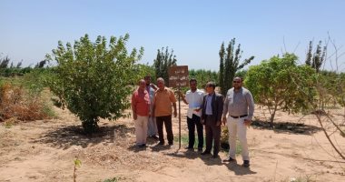 استرداد 458 فدان أراضى أملاك دولة بمركز سمالوط بالمنيا