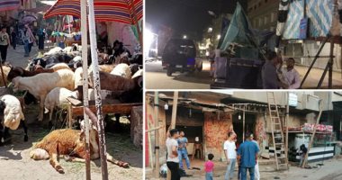  القاهرة والجيزة تواجهان ذبح الأضاحى فى الشوارع.. فتح المجازر للمواطنين مجانا طوال أيام العيد.. و5 آلاف جنيه غرامة نقل الجلود بدون تصريح.. و3 آلاف عقوبة الذبح بالشوارع وانشاء شوادر عشوائية.. صور